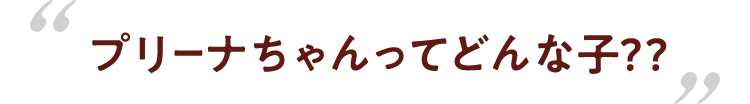 はじめてのプリンキャンペーン モロゾフ株式会社