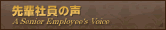 先輩社員の声