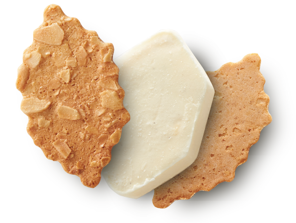 feuillage-glace_sand.png