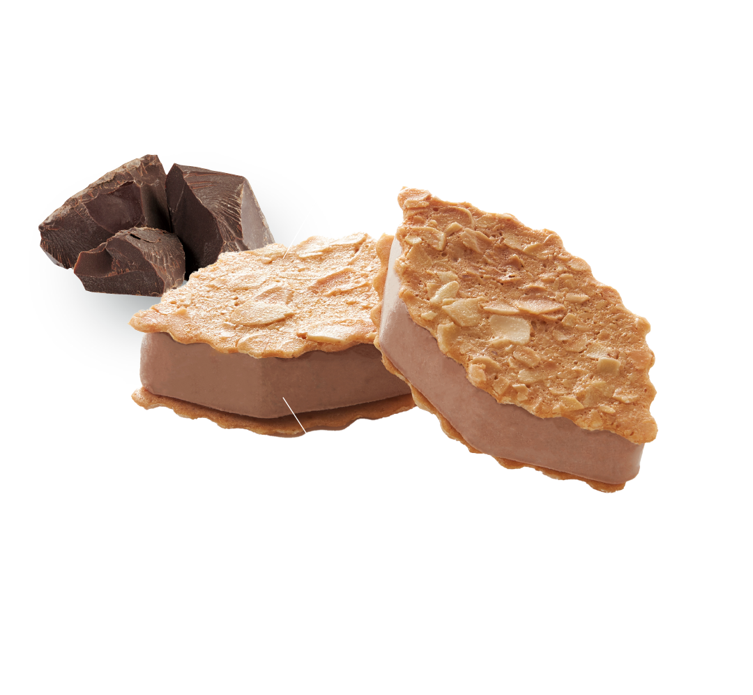 ファヤージュサンド（チョコレート）