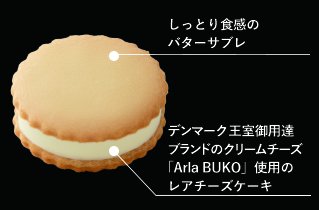 アセット 1-100.jpg